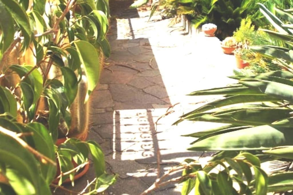Milis Italia Guesthouse מראה חיצוני תמונה